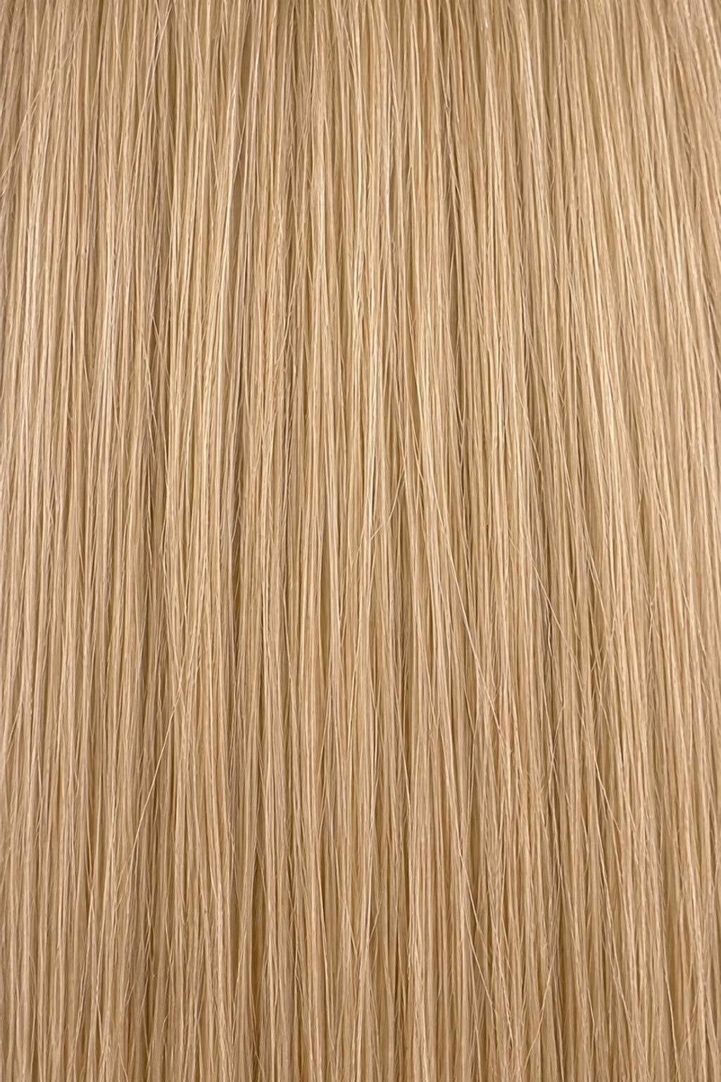 Dani Steel Ibiza Sand Ultra Thin Weft hair extensions — color card — Straight product