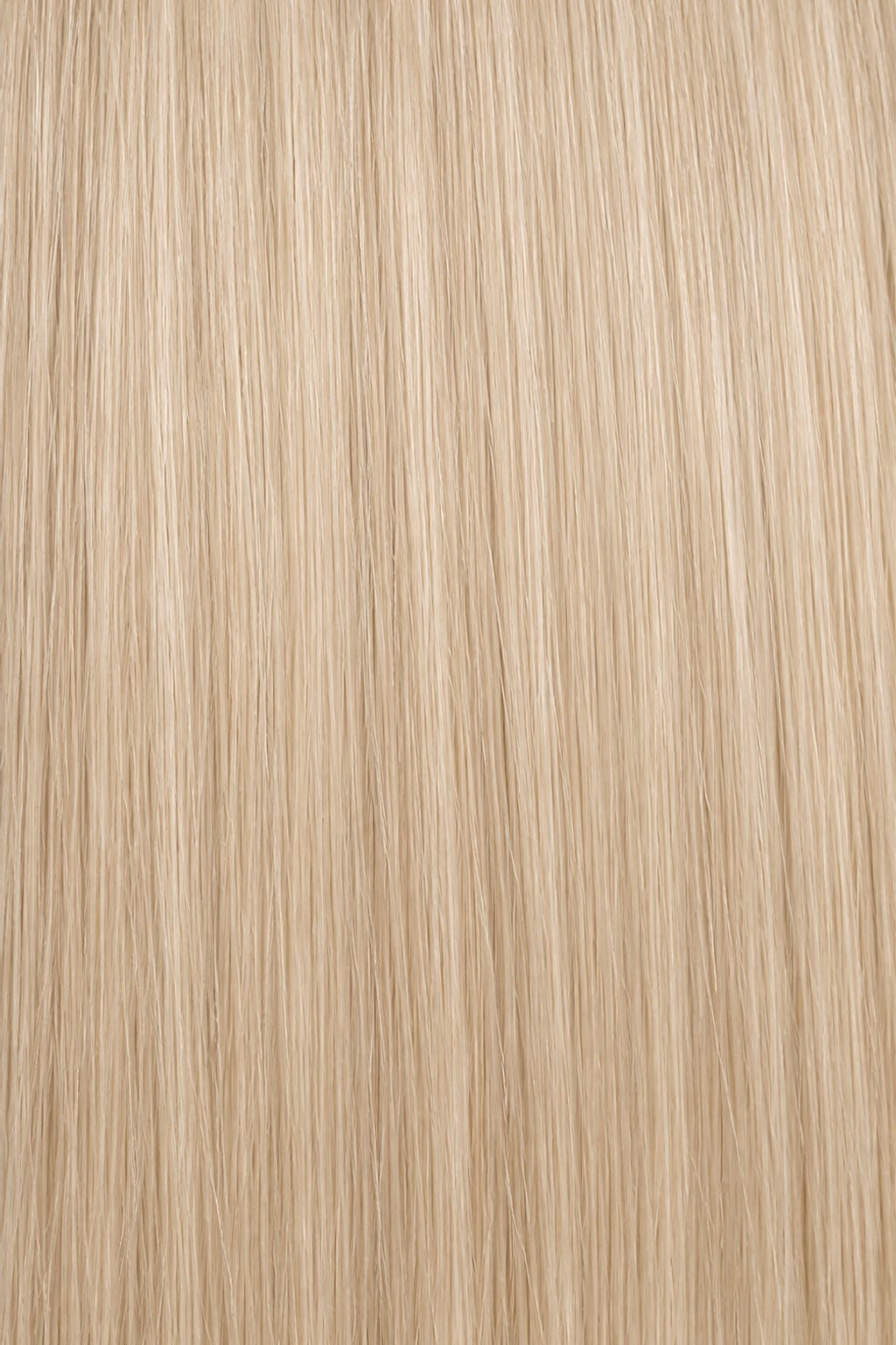 Dani Steel Nordic Blonde Butterfly Weft hair extensions — color card — Natural Wave product