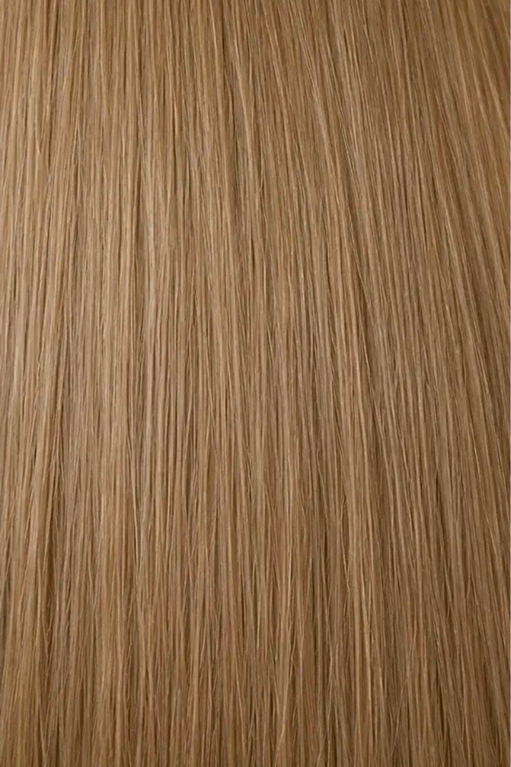 Dani Steel Honey Glaze Butterfly Weft hair extensions — color card — Straight product