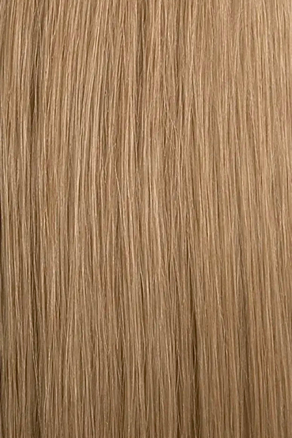 Dani Steel Champagne Beige Butterfly Weft hair extensions — color card — Straight product